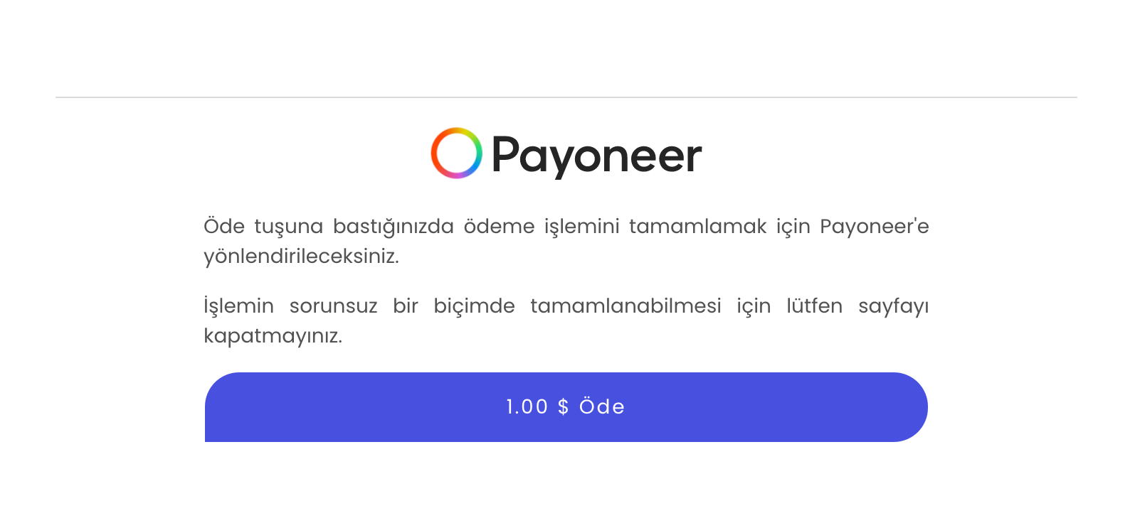 Sadece Payoneer sekmesi