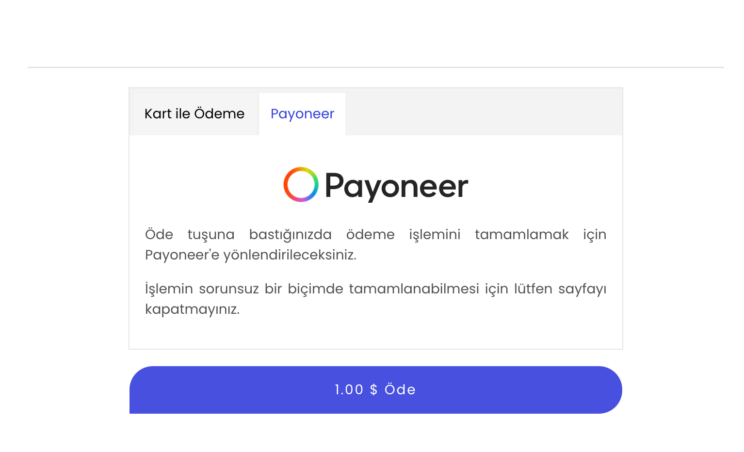 Payoneer Common Payment Page Tab